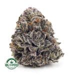 Buy Cannabis Purple Space Cookies Craft, AAAA+ at MMJ Express Online Shop