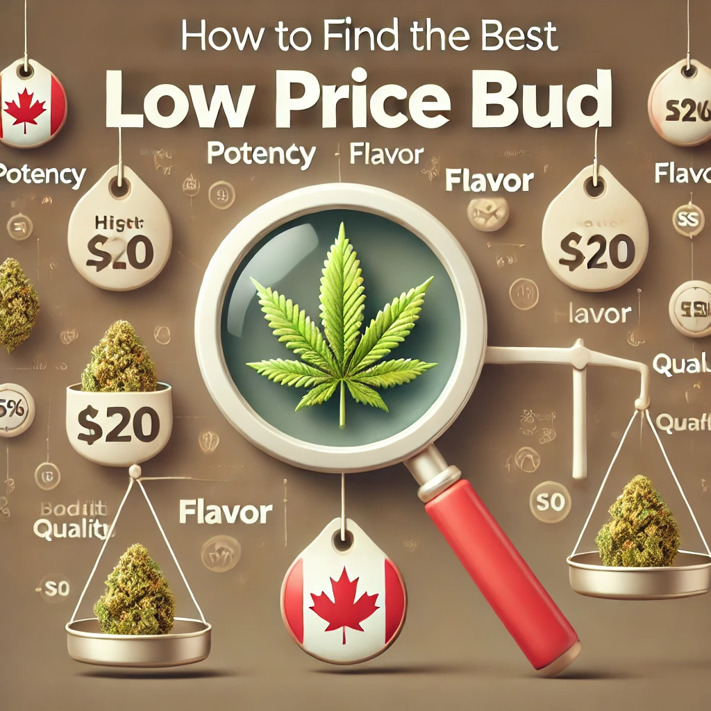 How to Find the Best Low Price Bud