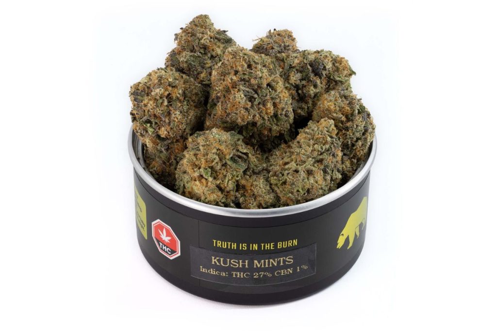 Order the Kush Mints strain in Canada from our online dispensary & explore its long-lasting effects, delicious flavours, & more. Here are the details!