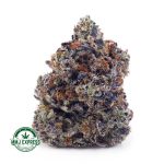 Buy Cannabis Island Pink Kush AAAA+, Craft at MMJ Express Online Shop