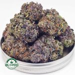 Buy Cannabis Island Pink Kush AAAA+, Craft at MMJ Express Online Shop