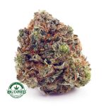 Buy Cannabis Acapulco Gold AA at MMJ Express Online Shop