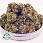 Buy Cannabis Acapulco Gold AA at MMJ Express Online Shop