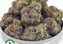 Buy Cannabis Couch Lock AAAA+ , Craft at MMJ Express Online Shop