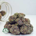 Buy Cannabis Couch Lock AAAA+ , Craft at MMJ Express Online Shop