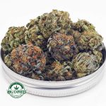 Buy Cannabis Pink Kush AAA at MMJ Express Online Shop
