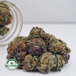 Buy Cannabis Pink Kush AAA at MMJ Express Online Shop