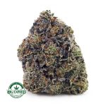 Buy Cannabis Pink Ice Cream Cake AAAA+, Craft at MMJ Express Online Shop
