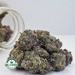 Buy Cannabis Pink Ice Cream Cake AAAA+, Craft at MMJ Express Online Shop