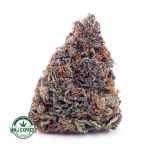 Buy Cannabis Purple Urkle AAAA at MMJ Express Online Shop