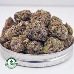 Buy Cannabis Purple Urkle AAAA at MMJ Express Online Shop