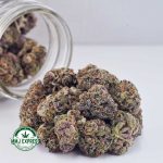 Buy Cannabis Purple Urkle AAAA at MMJ Express Online Shop