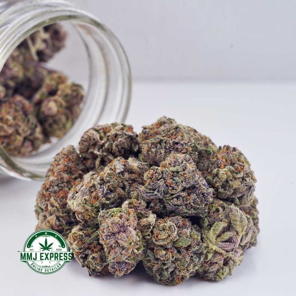 Buy Cannabis Purple Urkle AAAA at MMJ Express Online Shop