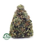 Buy Cannabis Holy Grail AAA at MMJ Express Online Shop