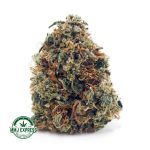 Buy Cannabis Comatose OG AA at MMJ Express Online Shop