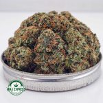 Buy Cannabis Comatose OG AA at MMJ Express Online Shop
