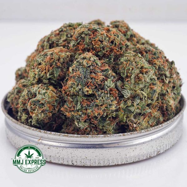 Buy Cannabis Comatose OG AA at MMJ Express Online Shop