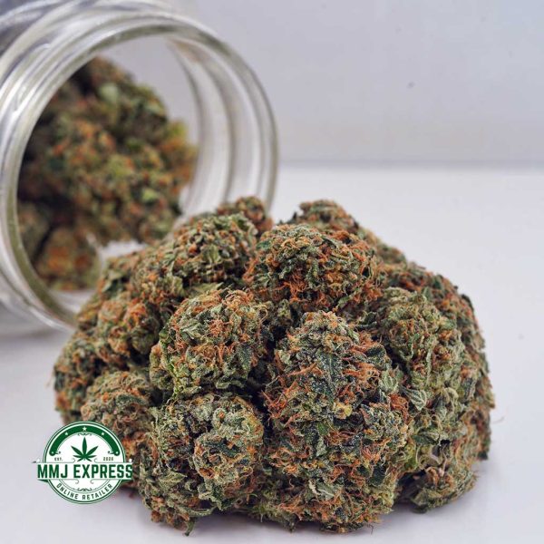 Buy Cannabis Comatose OG AA at MMJ Express Online Shop