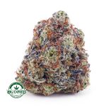 Buy Cannabis Blackberry Haze AAA at MMJ Express Online Shop