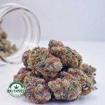 Buy Cannabis Blackberry Haze AAA at MMJ Express Online Shop