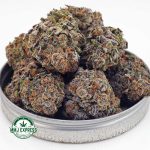 Buy Cannabis Grape Ape AAAA MMJ Express Online Shop