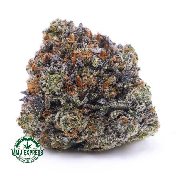 Buy Cannabis Chocolope AAAA at MMJ Express Online Shop
