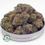 Buy Cannabis King Kong AAAA at MMJ Express Online Shop
