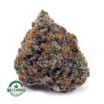 Buy Cannabis Hawaiian Pink Punch AAAA+, Craft at MMJ Express Online Shop