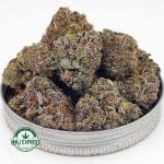 Buy Cannabis Hawaiian Pink Punch AAAA+, Craft at MMJ Express Online Shop