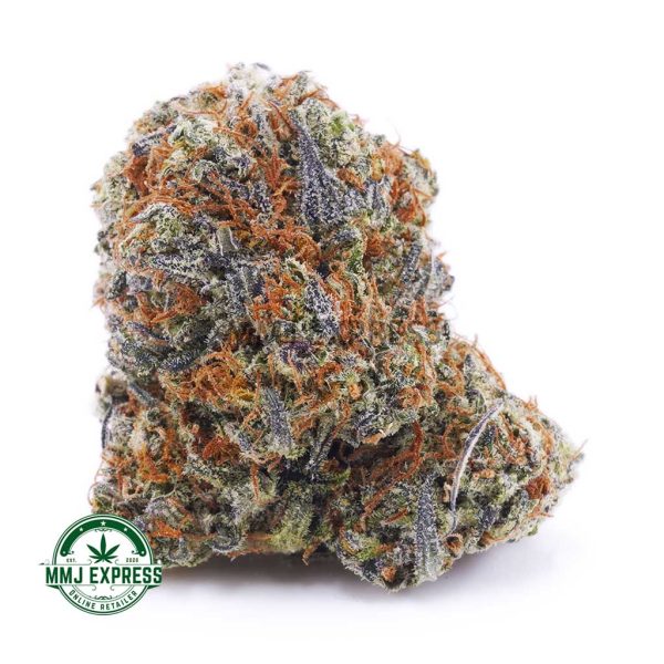 Buy Cannabis Blue Magoo Cookies AAAA at MMJ Express Online Shop