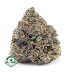 Buy Cannabis Donkey Butter AAAA+, Craft at MMJ Express Online Shop