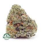 Buy Cannabis Trainwreck AA at MMJ Express Online Shop