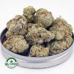Buy Cannabis Trainwreck AA at MMJ Express Online Shop