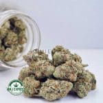 Buy Cannabis Trainwreck AA at MMJ Express Online Shop