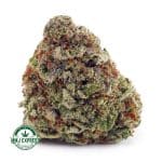 Buy Cannabis Blackberry Kush AAA at MMJ Express Online Shop