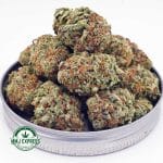Buy Cannabis Blackberry Kush AAA at MMJ Express Online Shop
