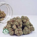 Buy Cannabis Bruce Banner AAA MMJ Express Online Shop