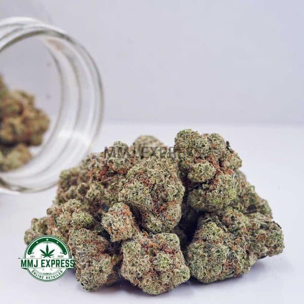 Buy Cannabis Bruce Banner AAA MMJ Express Online Shop