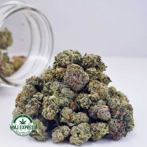 Buy Cannabis Sunset Sherbet AAAA (Popcorn Nugs) at MMJ Express Online Shop