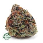 Buy Cannabis Cali Kush AA at MMJ Express Online Shop