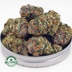 Buy Cannabis Cali Kush AA at MMJ Express Online Shop