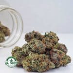 Buy Cannabis Cali Kush AA at MMJ Express Online Shop