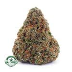Buy Cannabis Jack Herer AA at MMJ Express Online Shop
