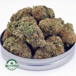 Buy Cannabis Jack Herer AA at MMJ Express Online Shop