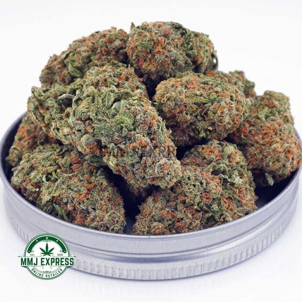 Buy Cannabis Jack Herer AA at MMJ Express Online Shop