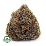 Buy Cannabis Master Jedi AAA at MMJ Express Online Shop