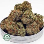 Buy Cannabis Master Jedi AAA at MMJ Express Online Shop