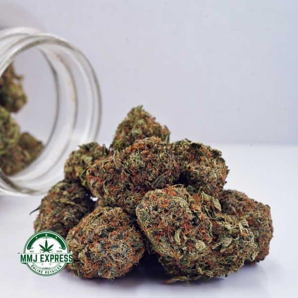 Buy Cannabis Master Jedi AAA at MMJ Express Online Shop