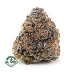Buy Concentrates Cannabis Tropicana Cookies AAAA at MMJ Express Online Shop