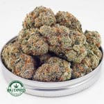 Buy Concentrates Cannabis Tropicana Cookies AAAA at MMJ Express Online Shop